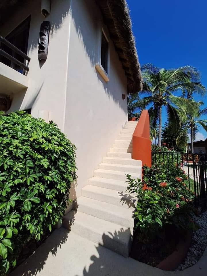 Exterior stairs and landscaped garden