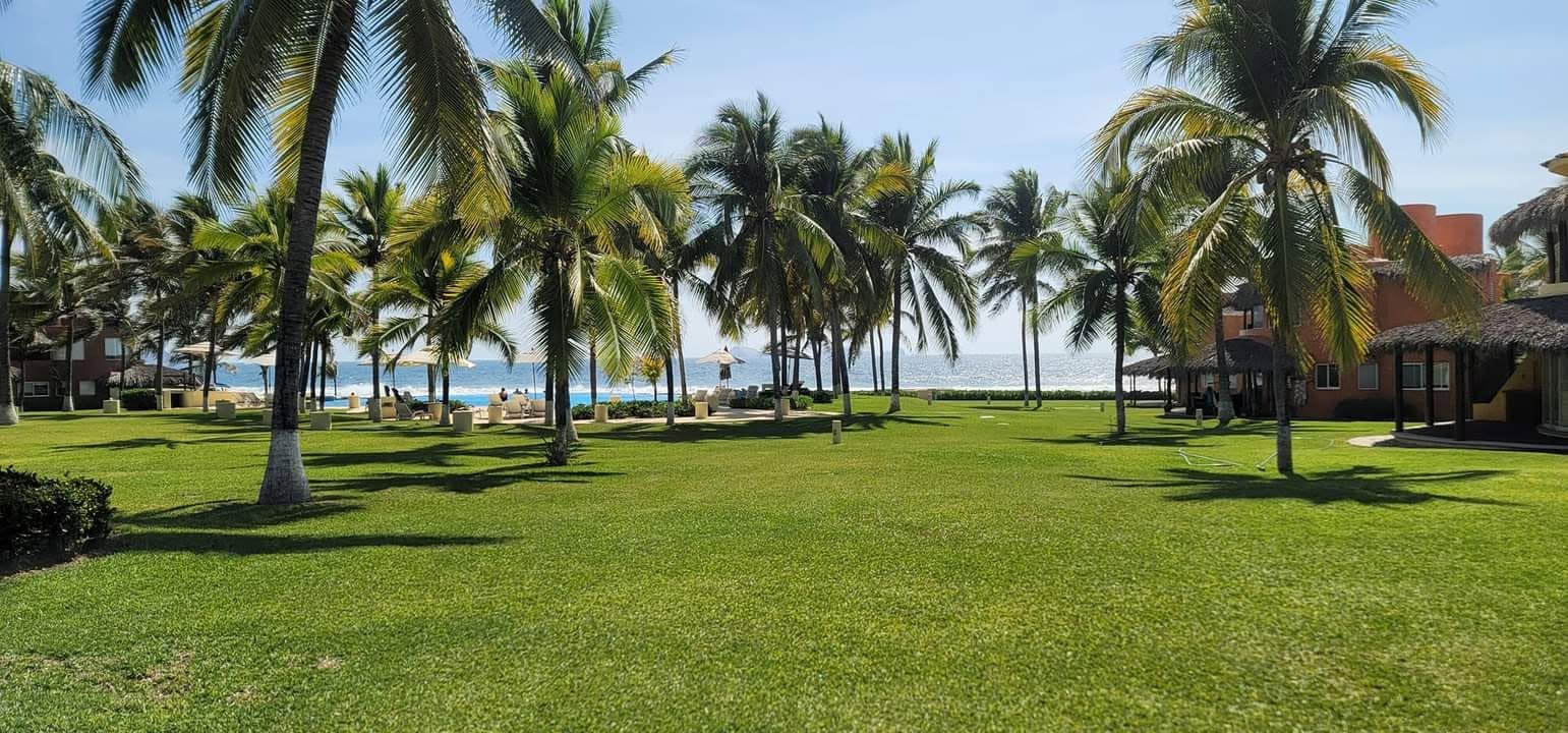 Beachfront grounds
