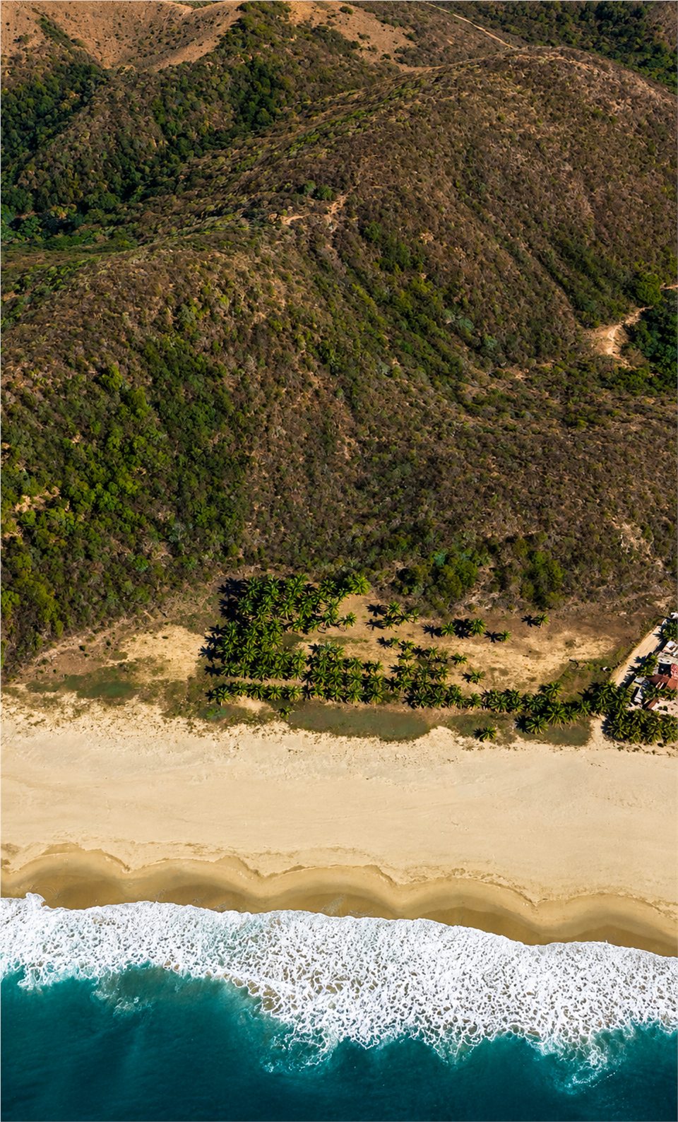 Frente de playa, vegetación y lomerío del terreno en Playa Larga