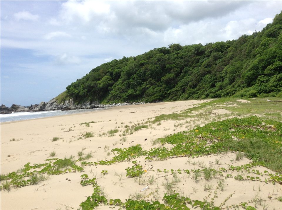 Playa apartada al pie del terreno en Playa Larga, Zihuatanejo