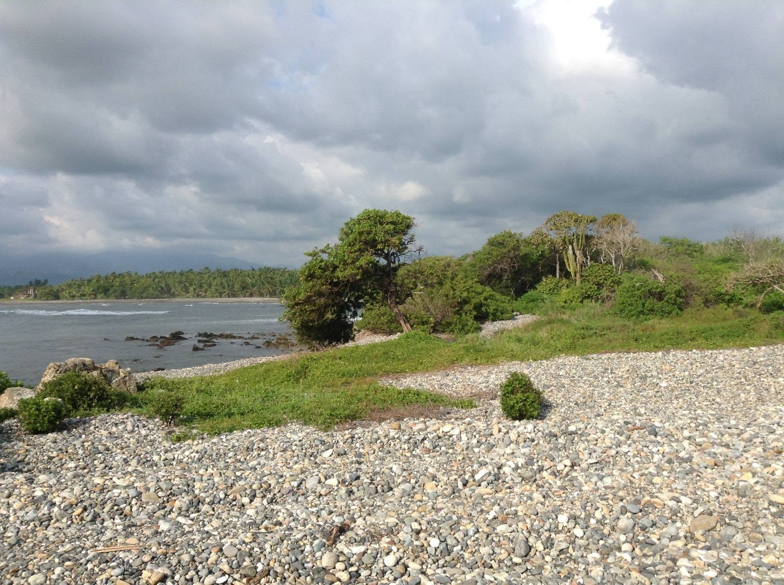 Coastal land and natural vegetation
