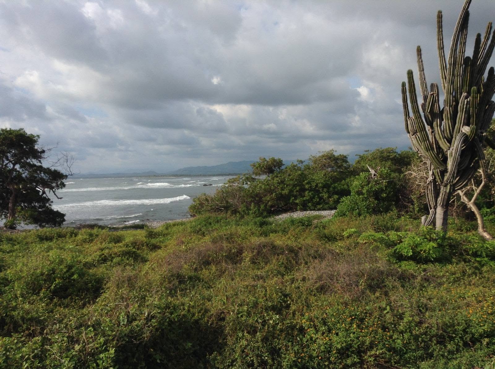 Coastal parcel with ocean views