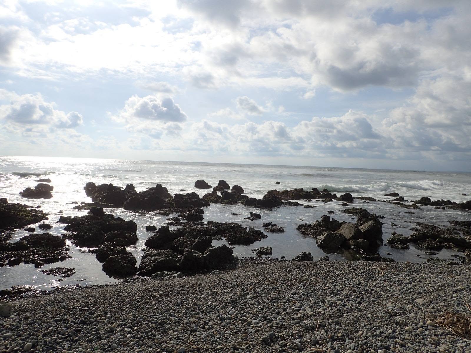 Rocky tide pools along the oceanfront