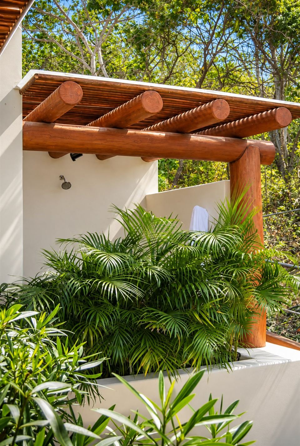 Detalles de madera y vegetación tropical